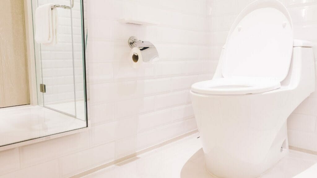 Reasons Why Your Toilet Might Be Squealing Decorator Advice