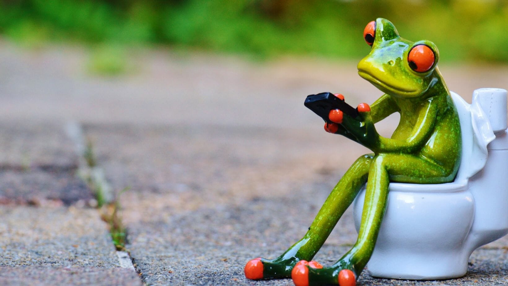 Why Does Water Make a Red Ring in the Toilet Bowl? Decorator Advice