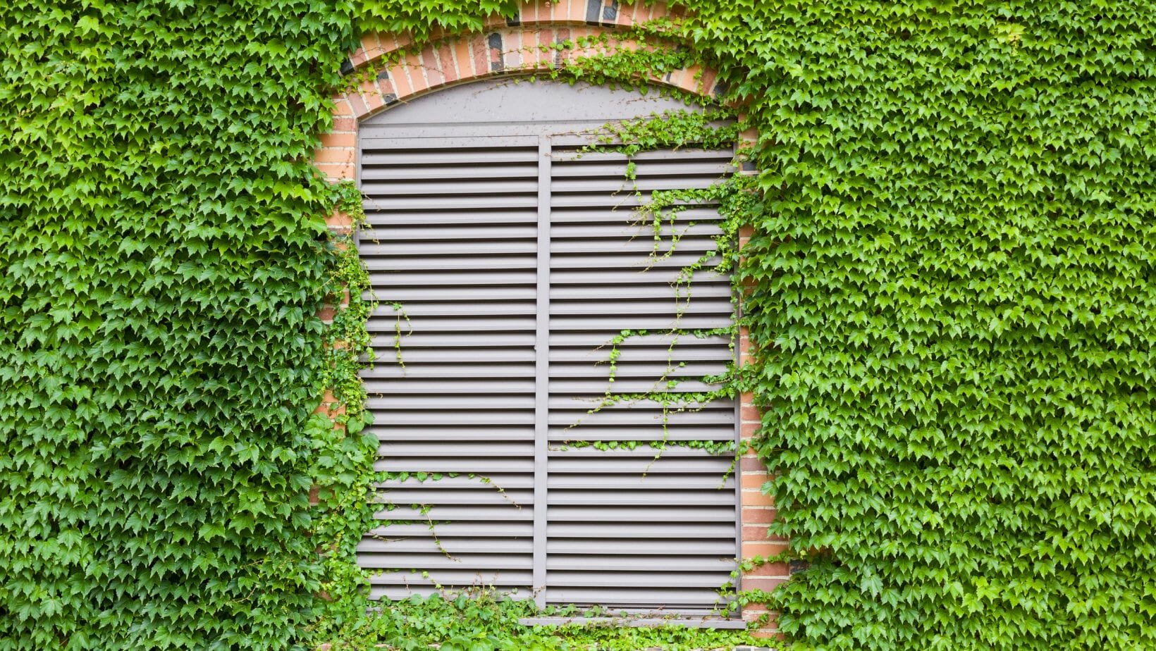 Alternative To Blinds (Window Coverings Guide) Decorator Advice