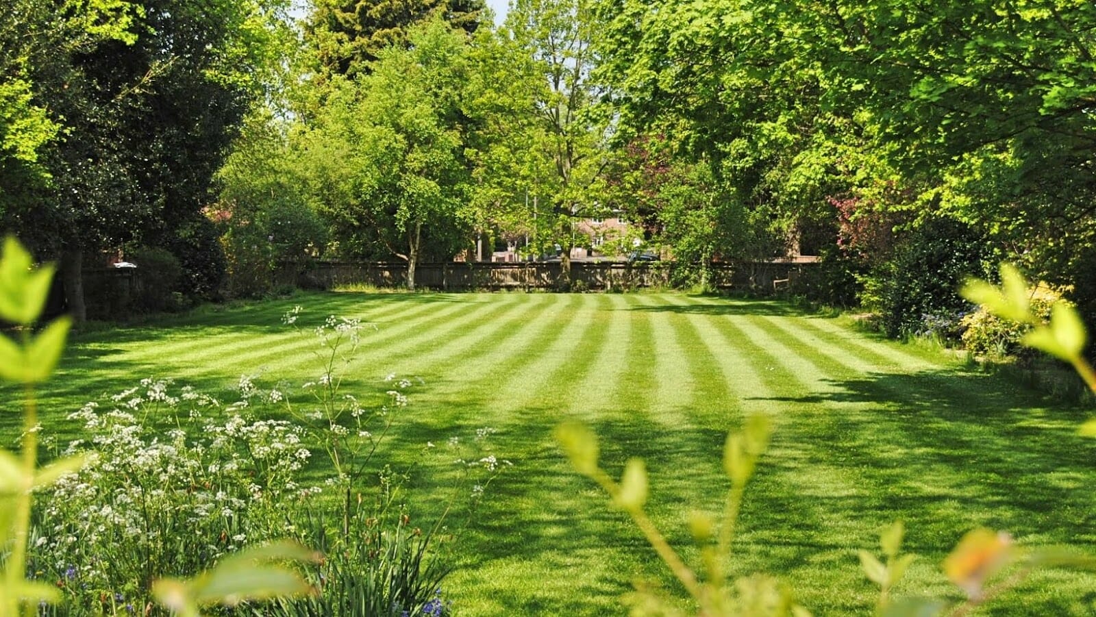 7 Tips for Keeping Your Lawn Green in the Summer