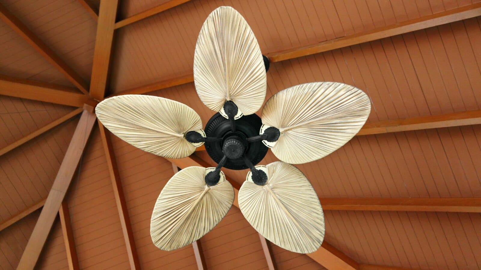 TEST What to Consider When Buying an Indoor vs. Outdoor Ceiling Fan
