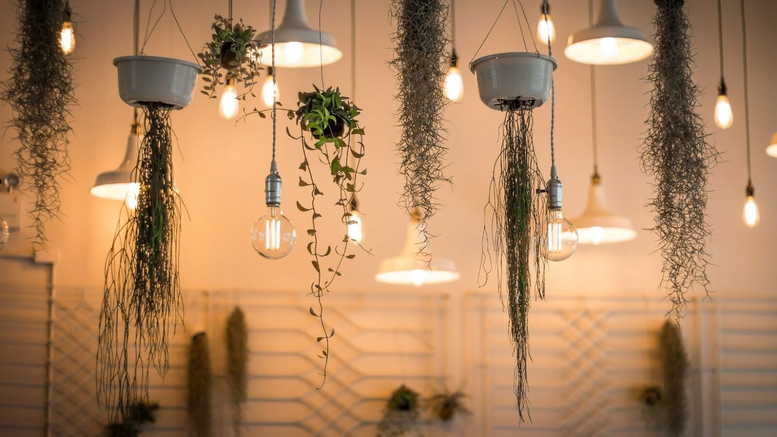 Lighting Trends That Will Be Everywhere in 2022