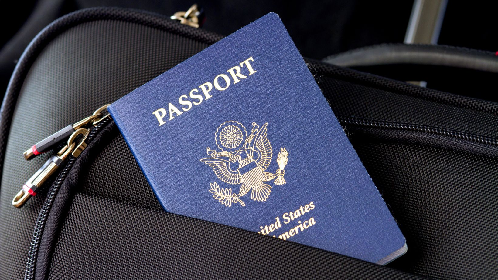 Wellbye passport photo worries with photogov