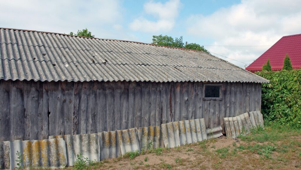 Image1