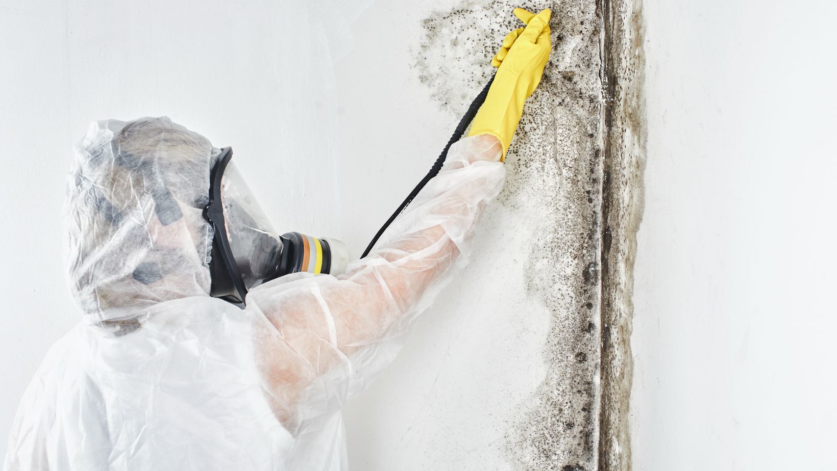How humidity affects mold in toronto homes
