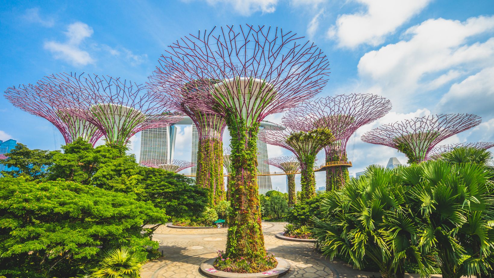 Where numbers bloom without fertilizer