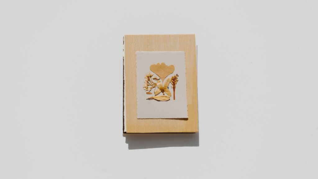 Image3