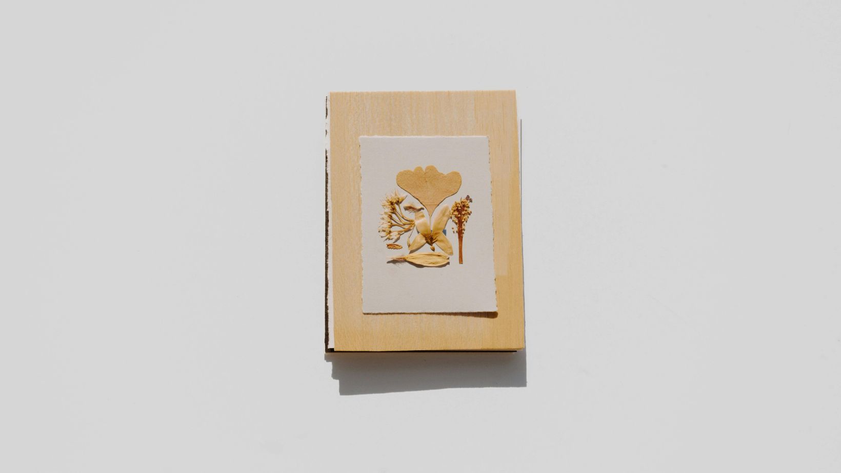 Image3