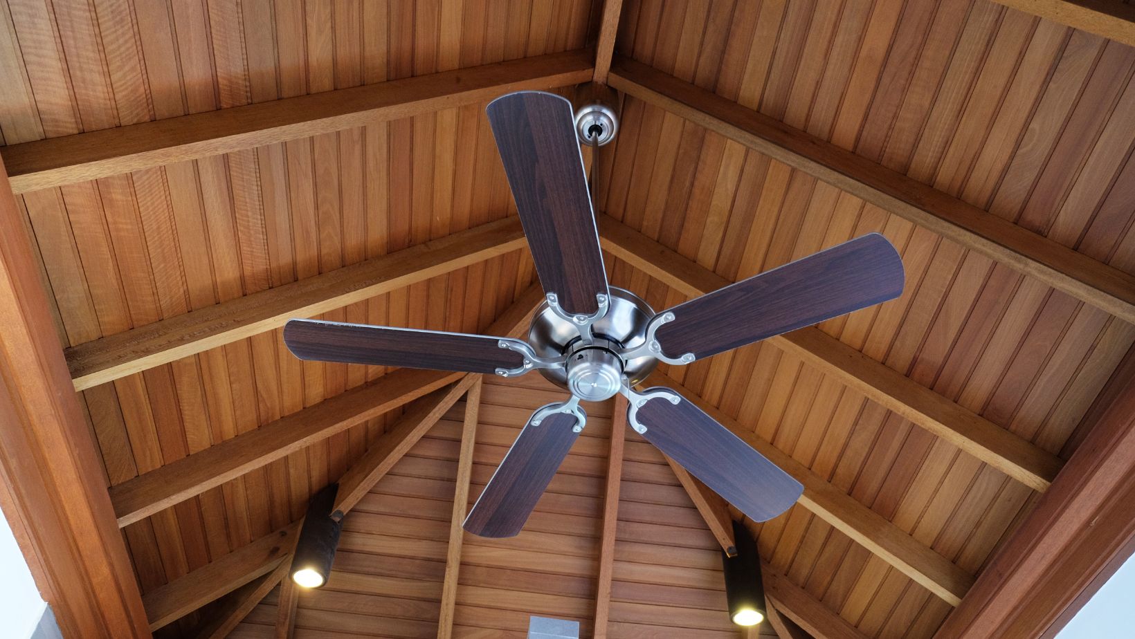 Image1