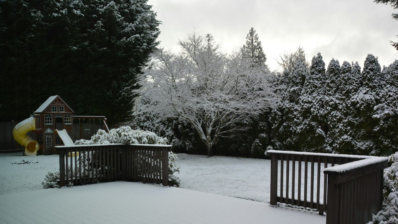 Image1