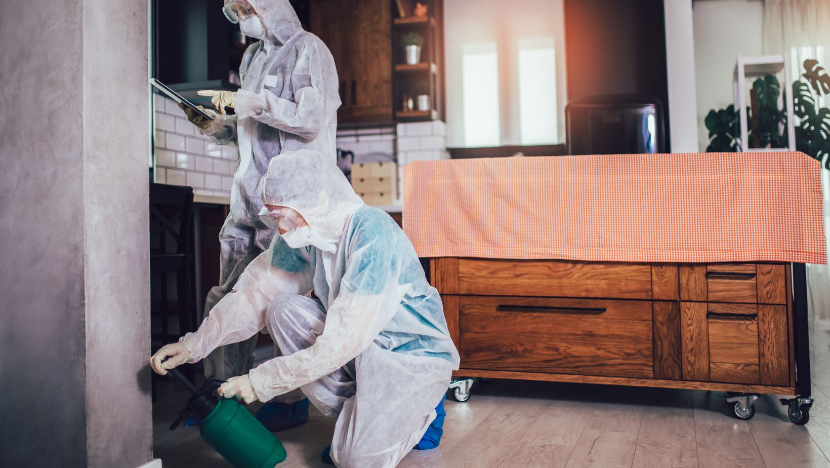 10 proven strategies for superior pest control in arlington