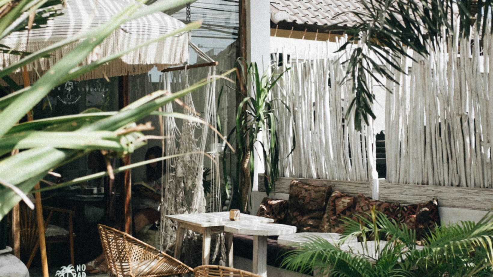 Incorporating biophilic design into your home