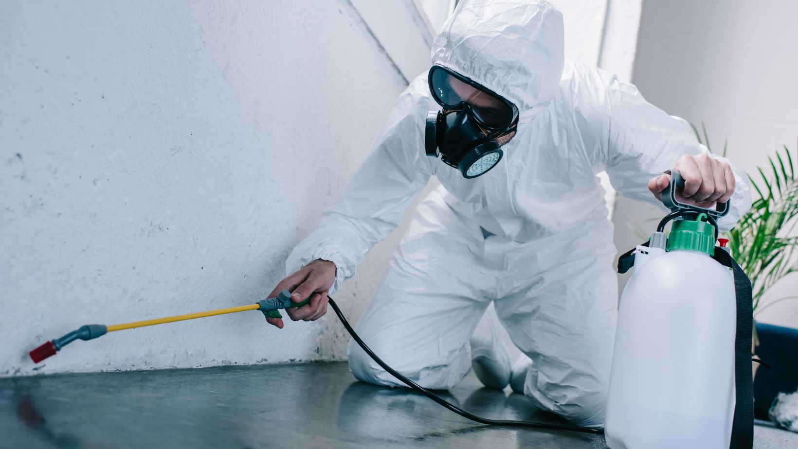 Essential reasons families rely on a pest control company in livingston