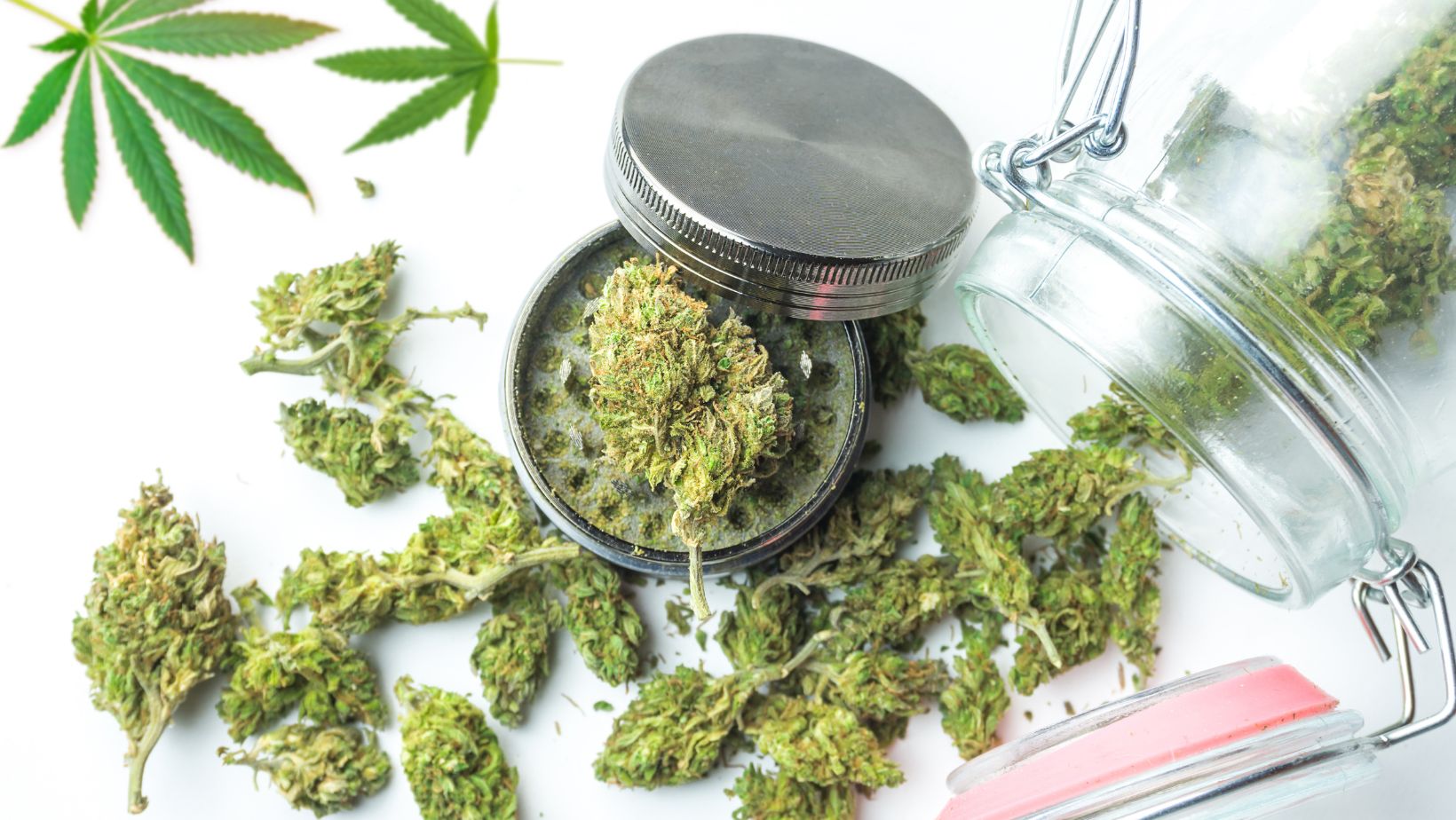 Thca bulk vs thca wholesale choosing the right option