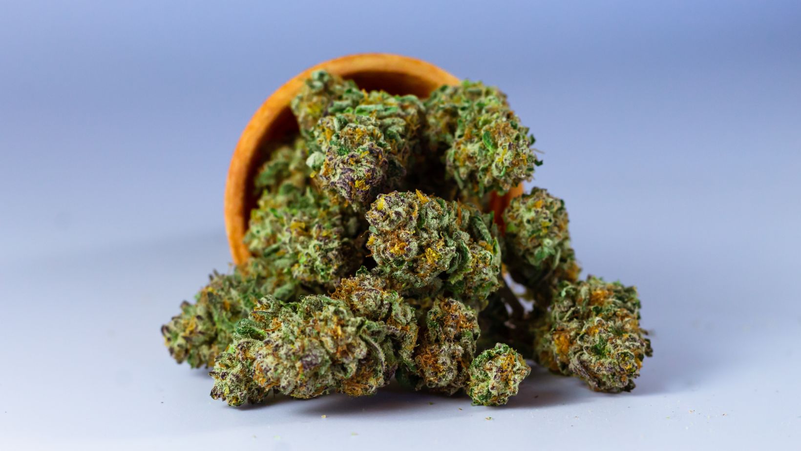 Mistakes to avoid when growing cannabis indoor