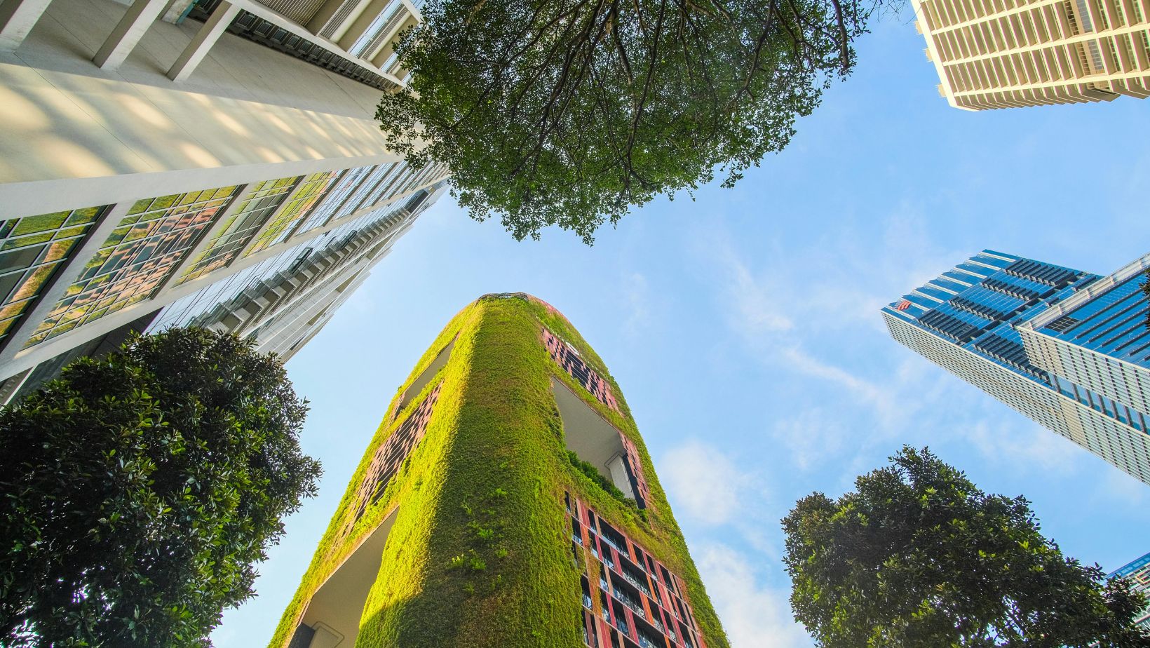 Spaces with substance marrying environmental responsibility and individual style
