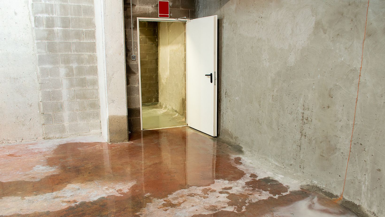 How to partner with water damage restoration companies if youre renovating