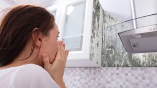 Understanding Moisture Problems That Create Conditions for Mold in Your Home