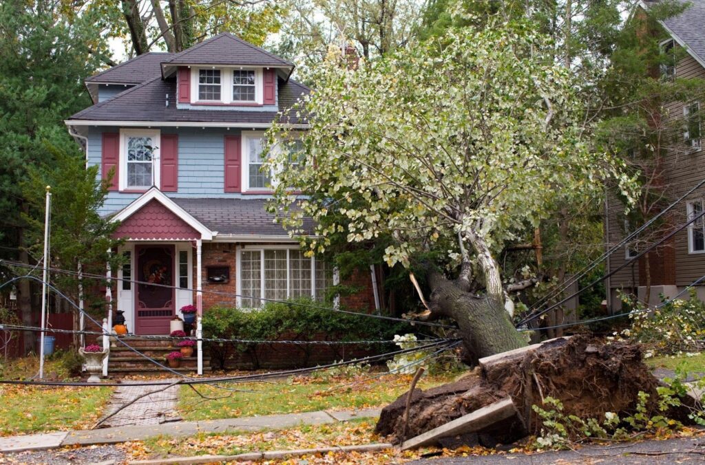 Common Types of Storm Damage to Exteriors