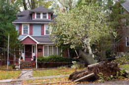 Common Types of Storm Damage to Exteriors